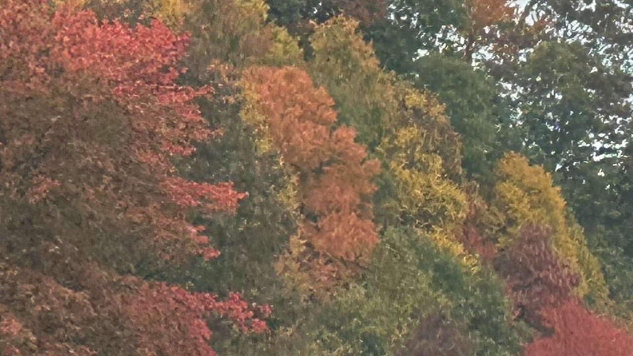 Photo of Outdoor in Upper Peachtree