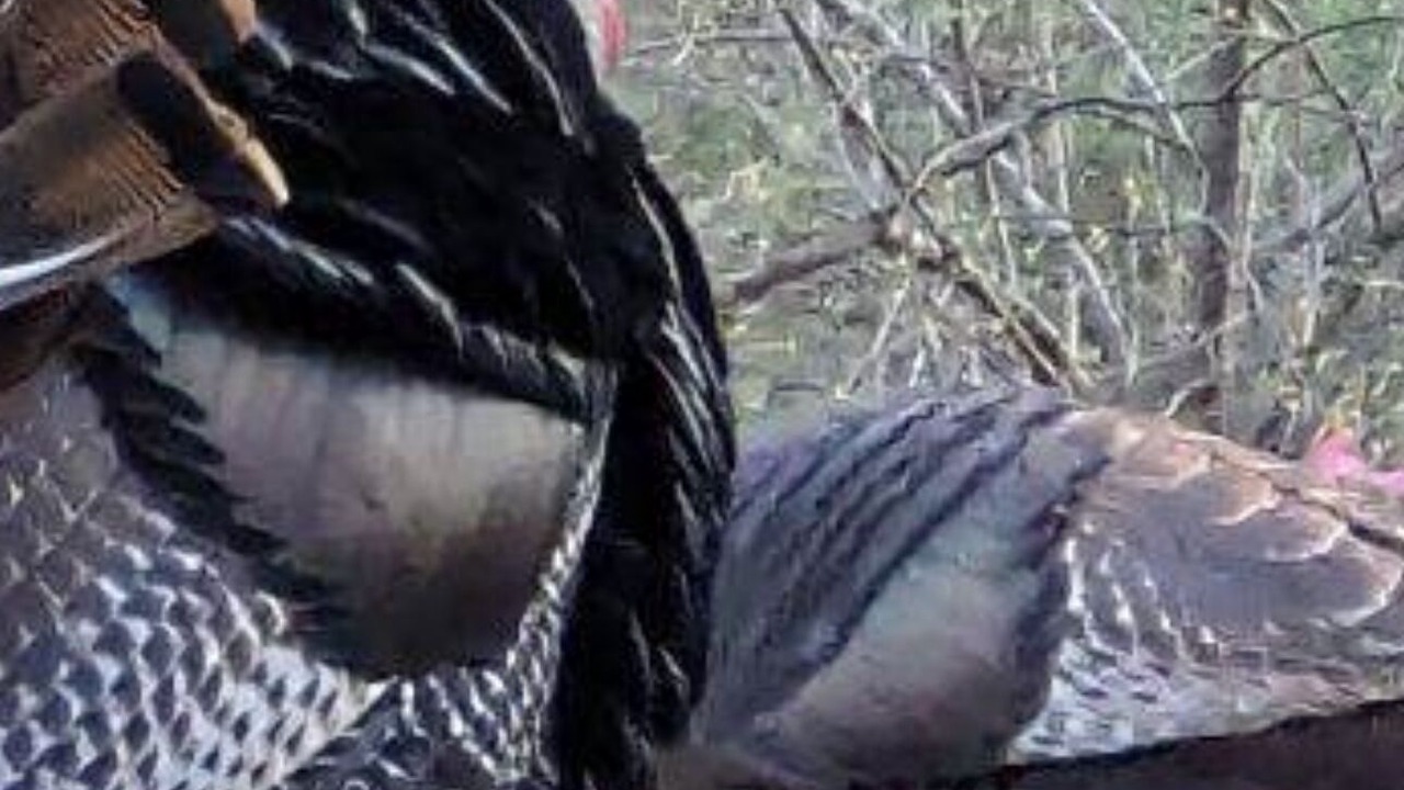 Photo of Others in Upper Peachtree
