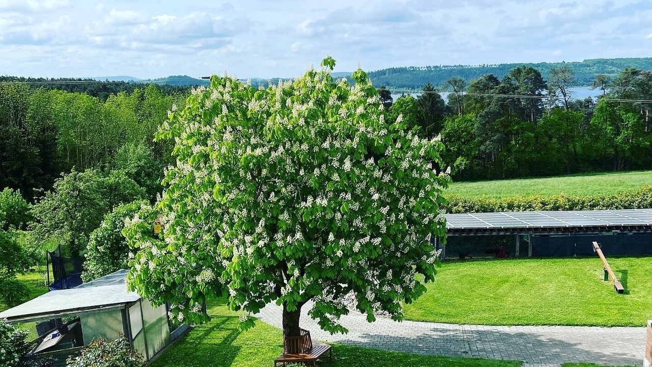 Photo of Outdoor in Spalt