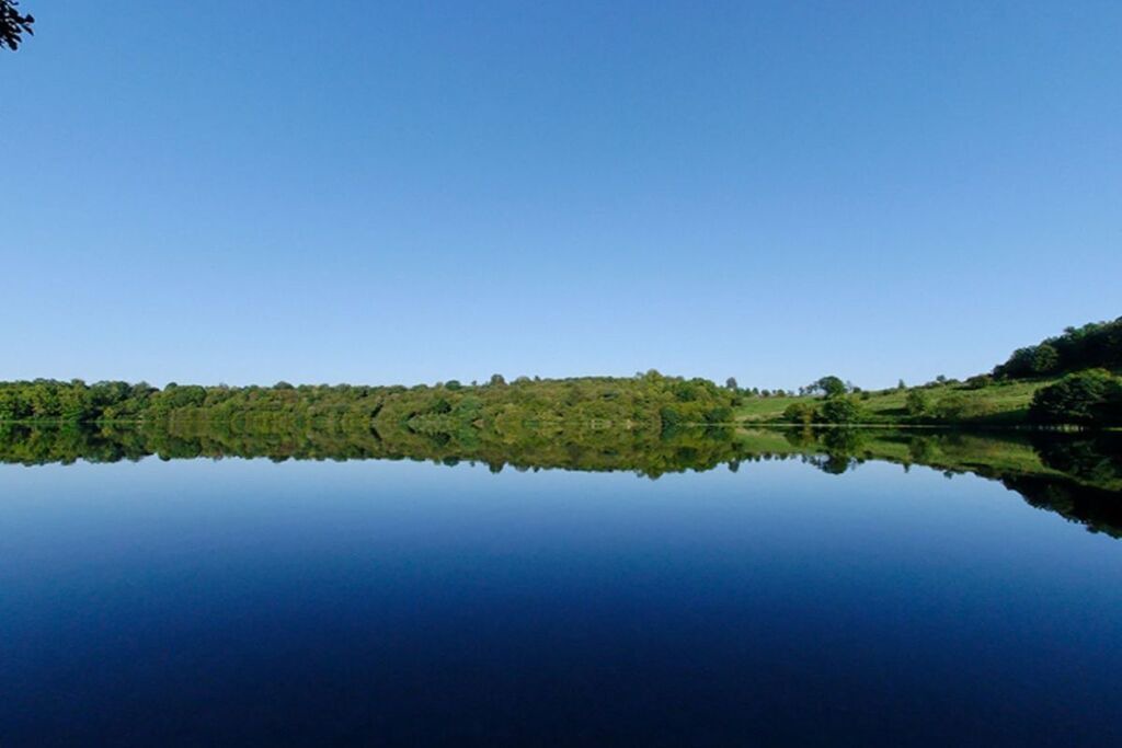 Photo of Outdoor in Daun
