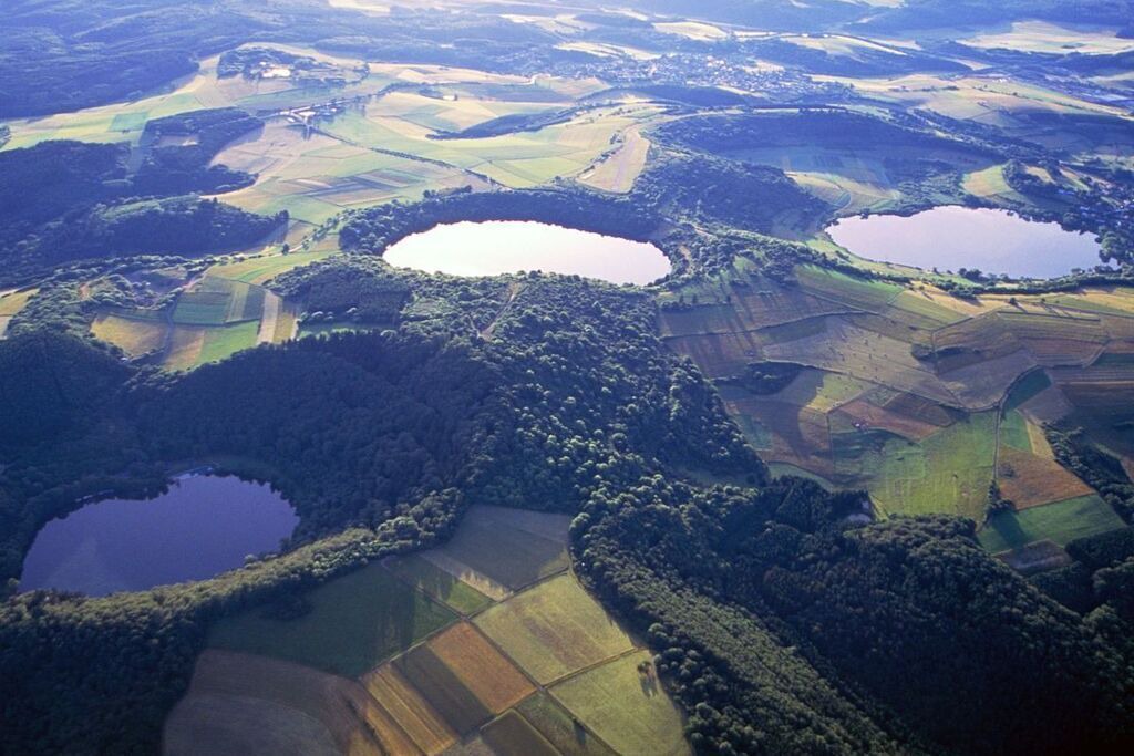 Photo of Outdoor in Daun