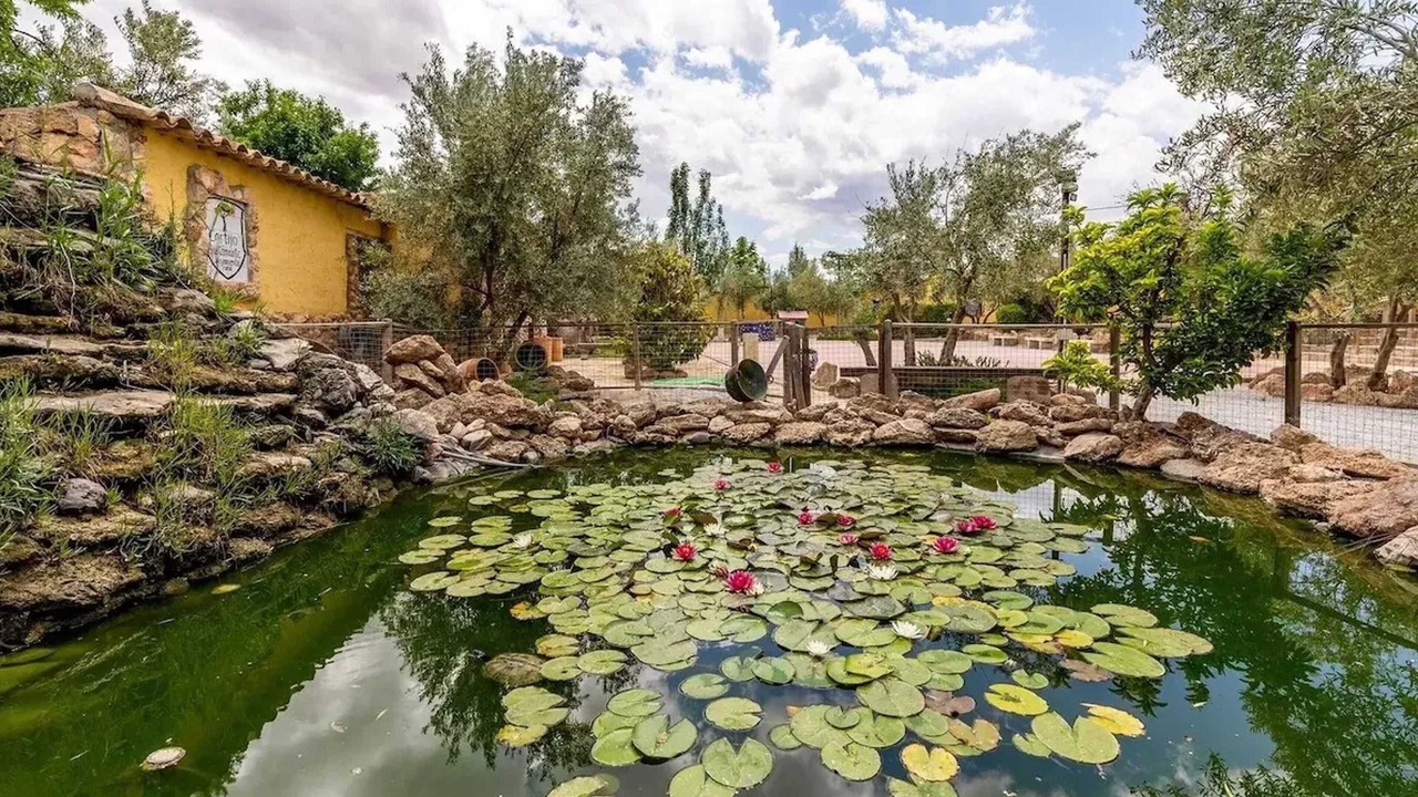 Photo of Outdoor in Baza