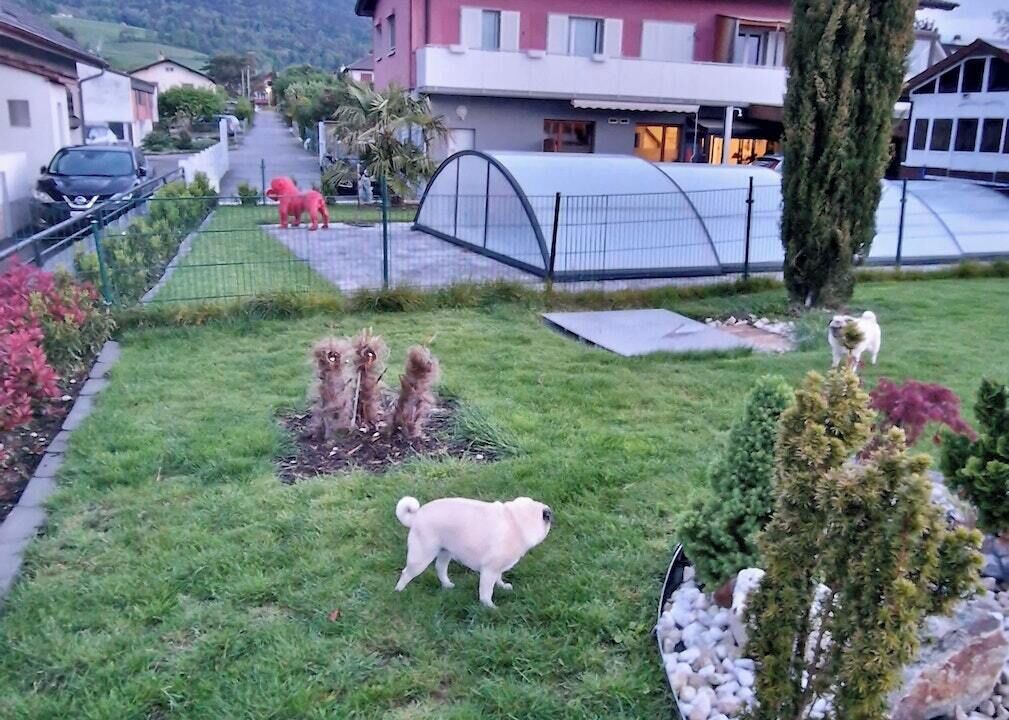 Photo of Outdoor in Bevaix
