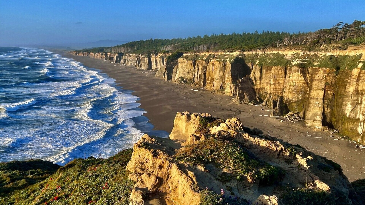Photo of Others in Port Orford