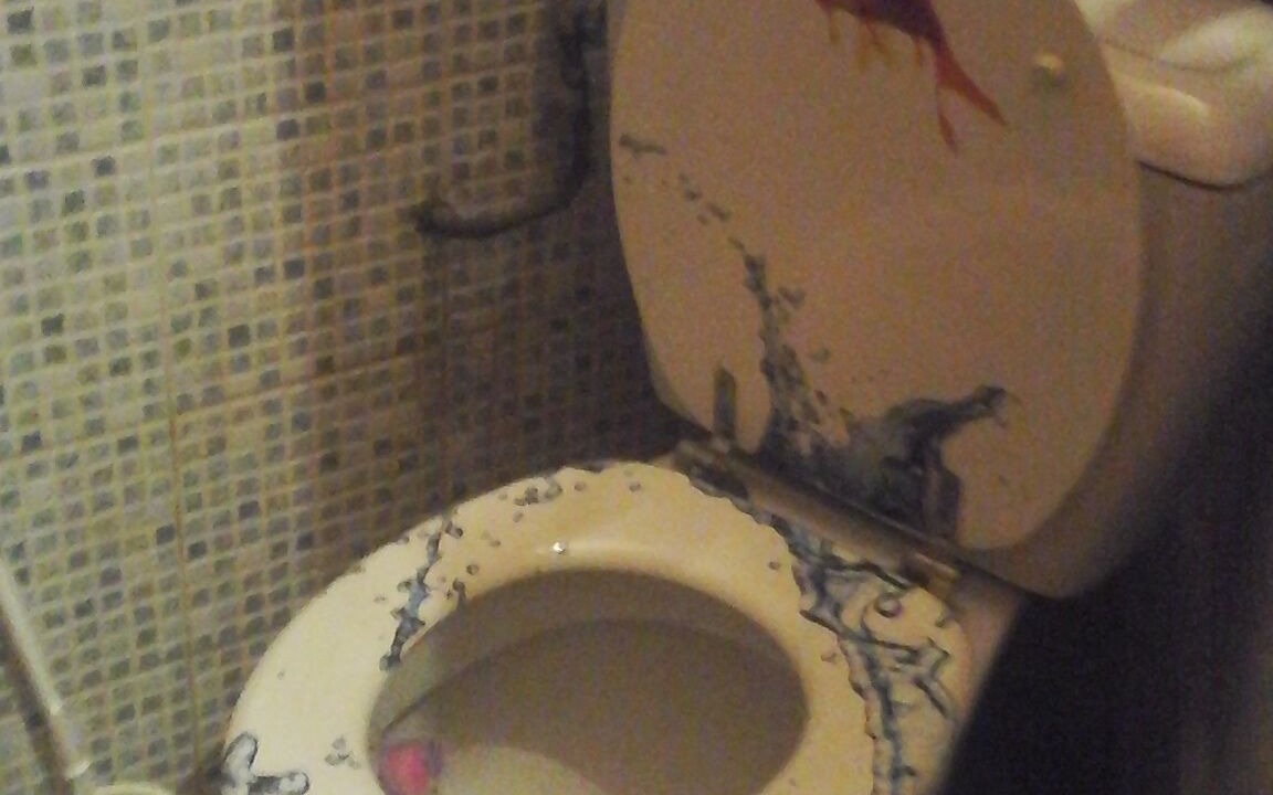 Photo of Bathroom in Marigot