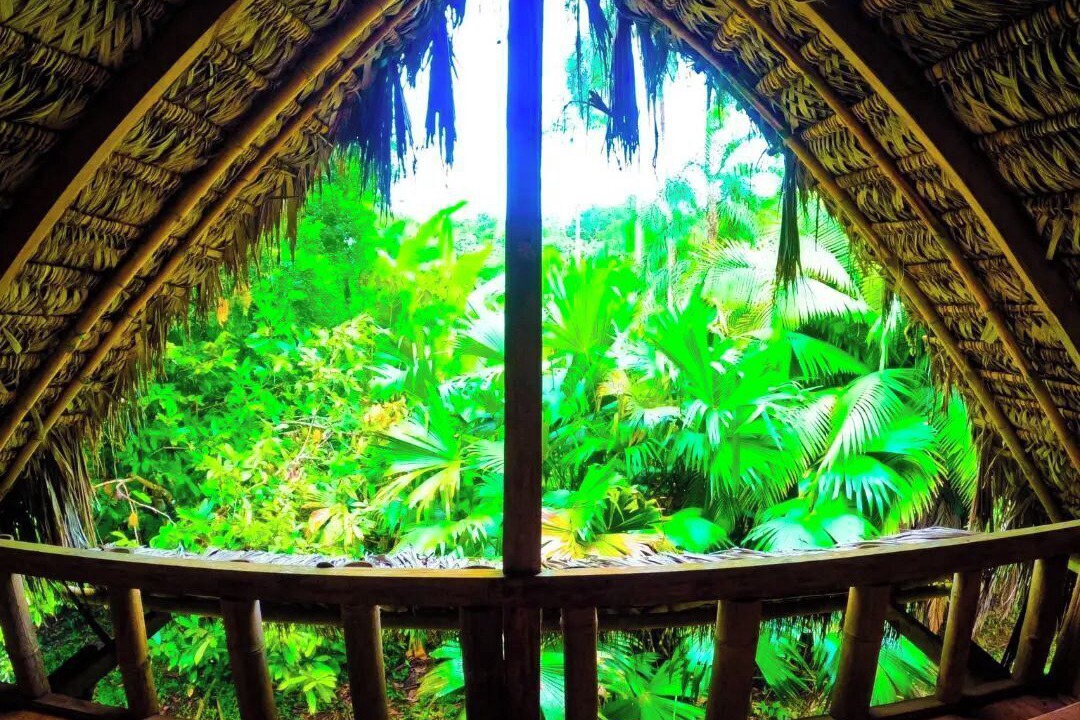 Photo of Outdoor in Ahuano
