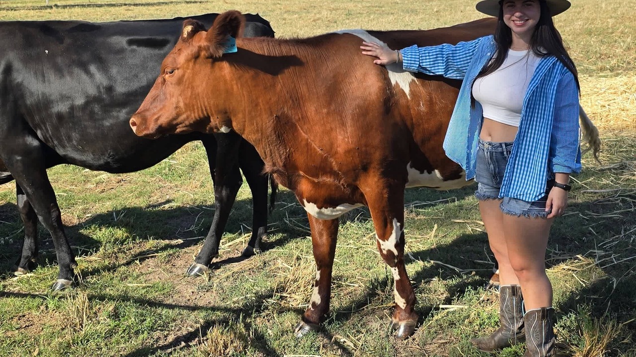 Photo of Others in Werris Creek
