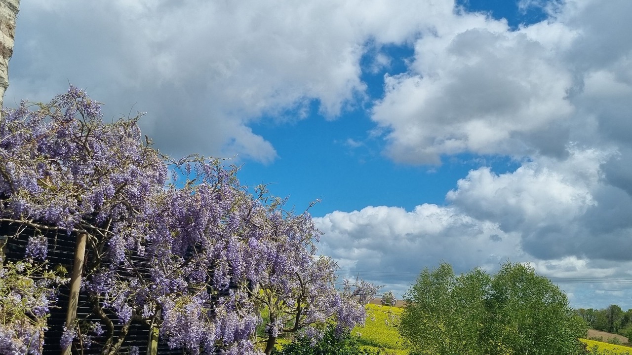 Photo of Outdoor in Lothey
