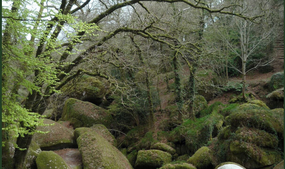 Photo of Outdoor in Lothey