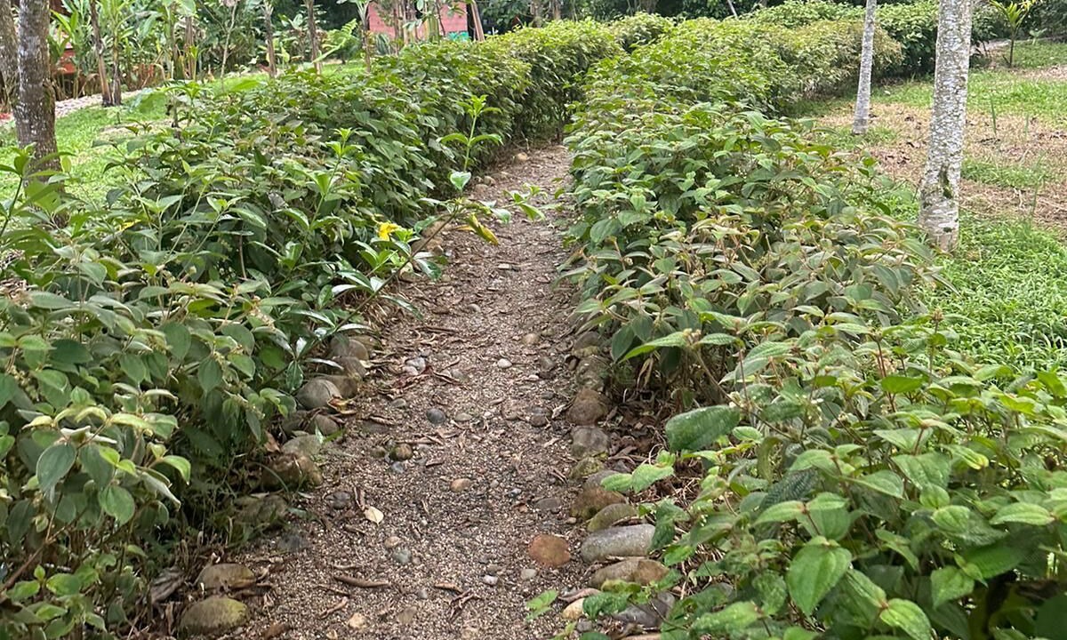 Photo of Outdoor in Cotundo