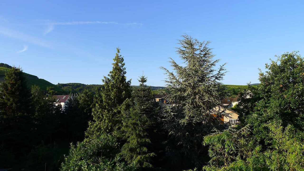 Photo of Others in Bachem