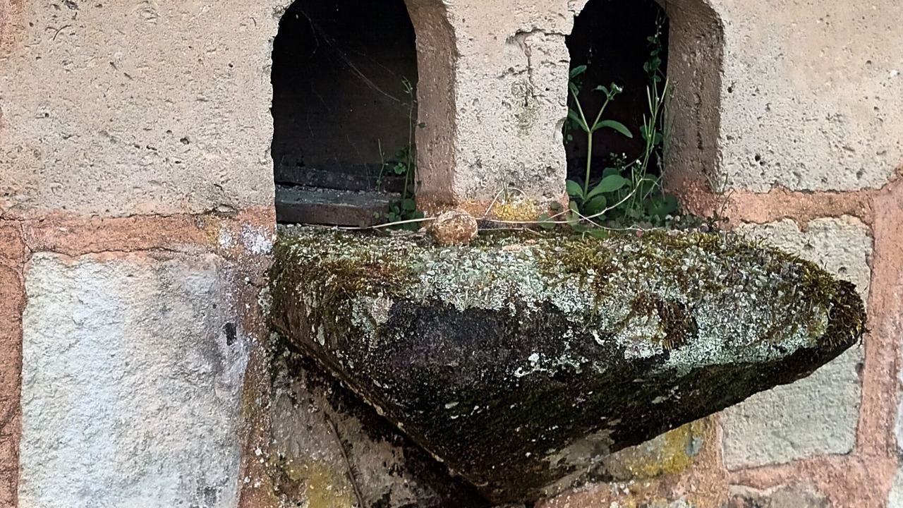 Photo of Outdoor in Perche-en-Noce