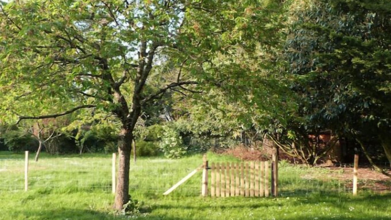 Photo of Outdoor in Courcy-aux-Loges