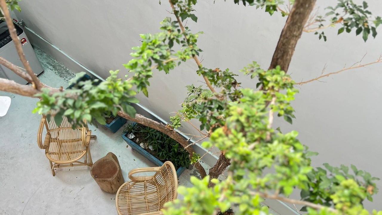 Photo of Outdoor in Downtown George Town