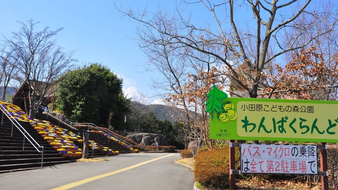 Photo of Outdoor in Odawara