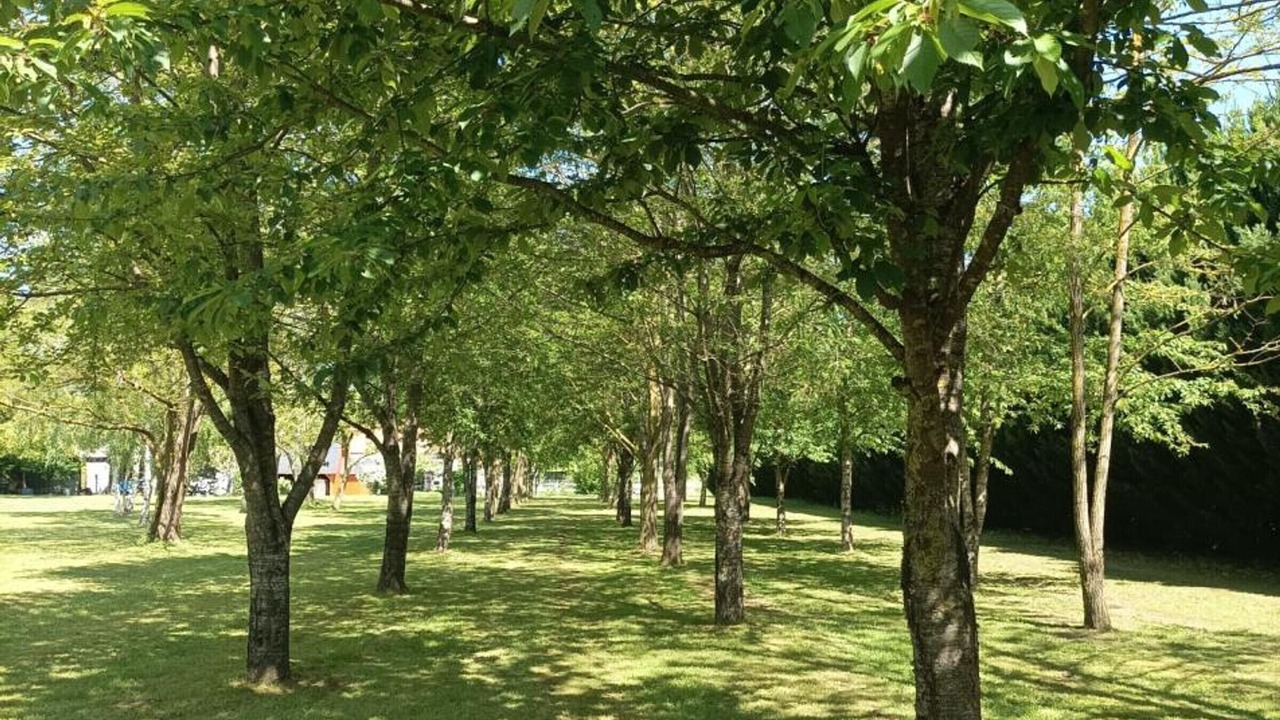 Photo of Outdoor in Feings