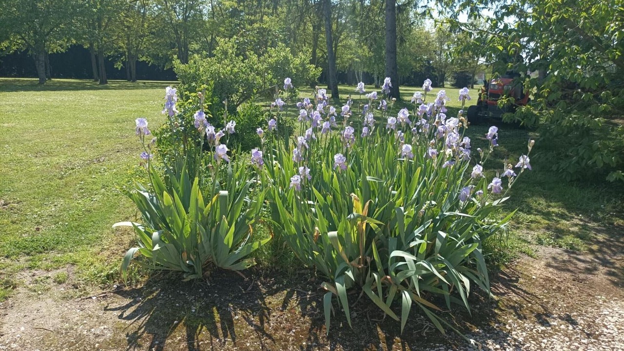 Photo of Outdoor in Feings