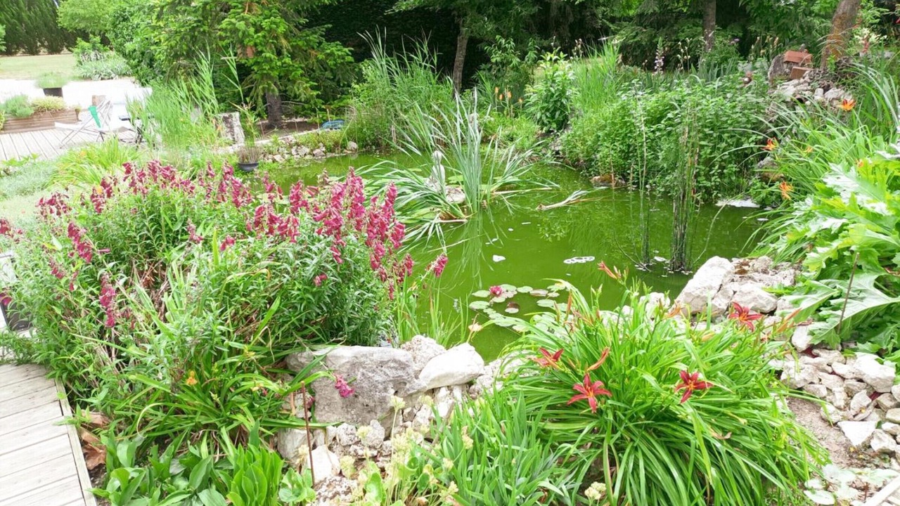Photo of Outdoor in Feings