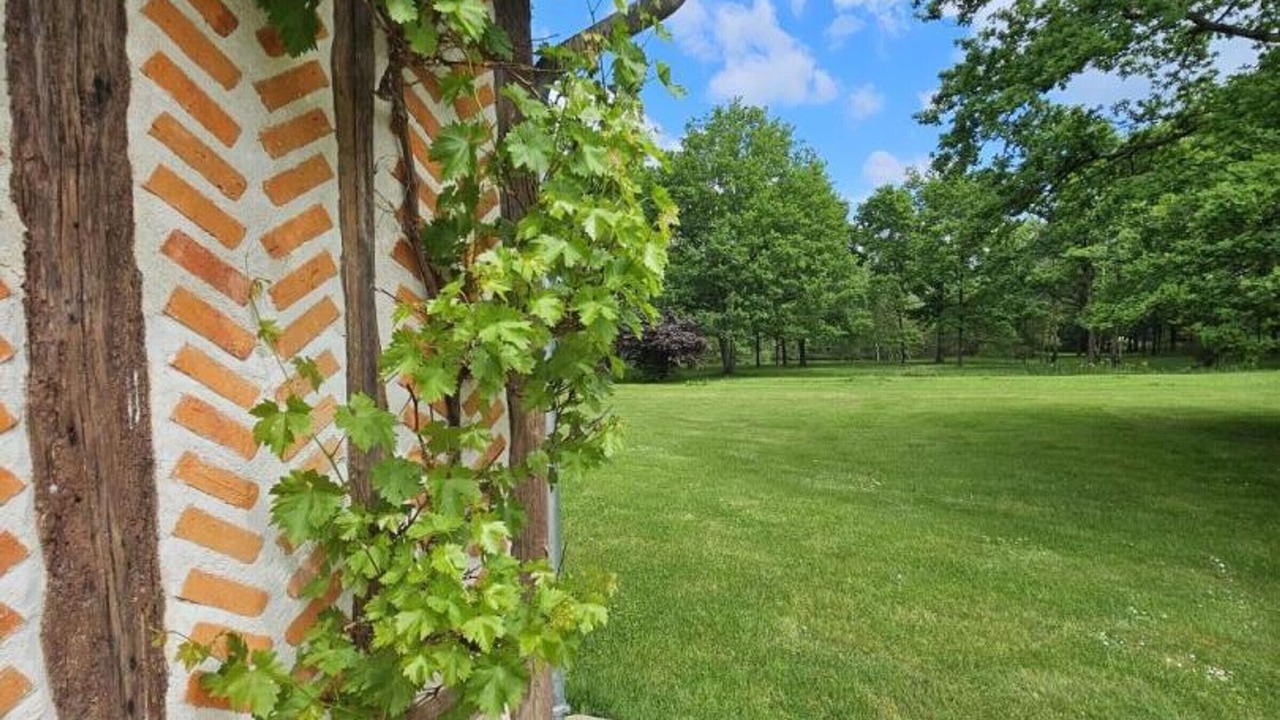 Photo of Outdoor in Contres