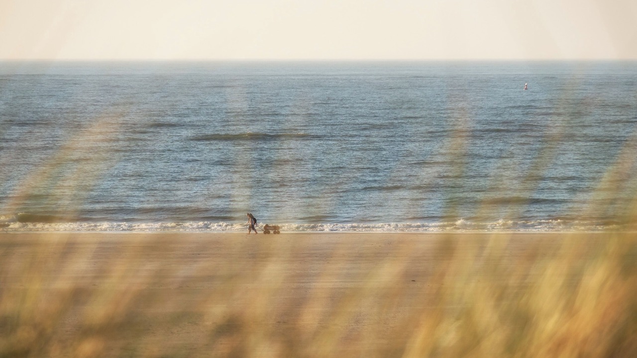 Photo of Others in Spiekeroog