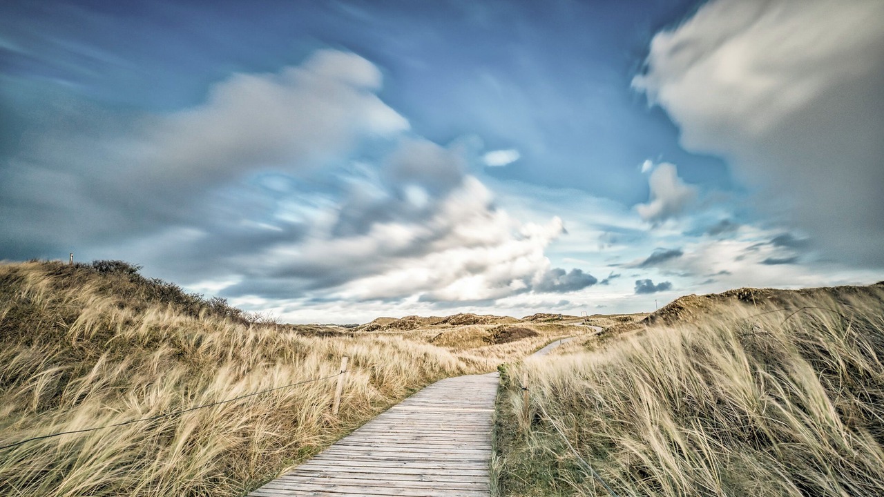 Photo of Others in Spiekeroog