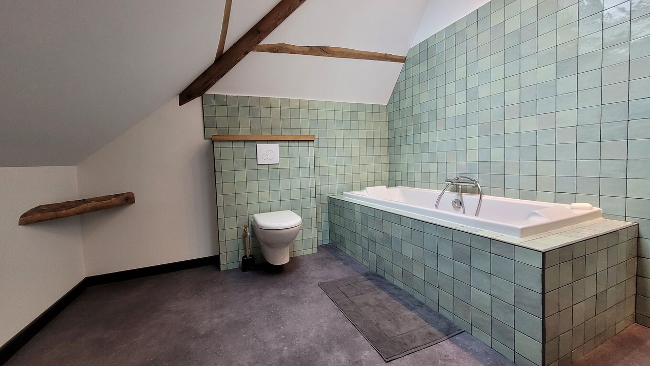 Photo of Bathroom in Saint-Maixant