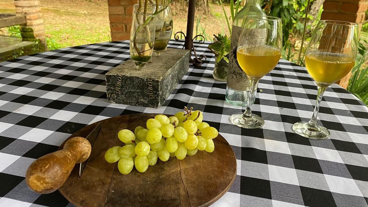 Photo of Outdoor in Tejuco