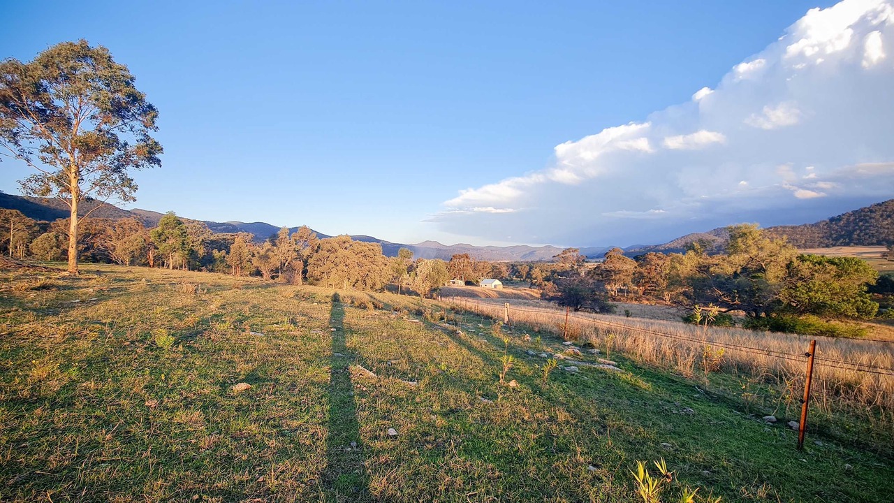 Photo of Others in Martindale