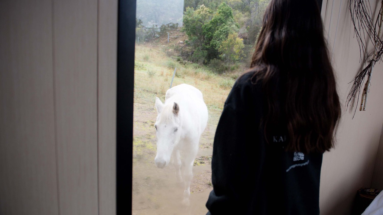 Photo of Others in Martindale