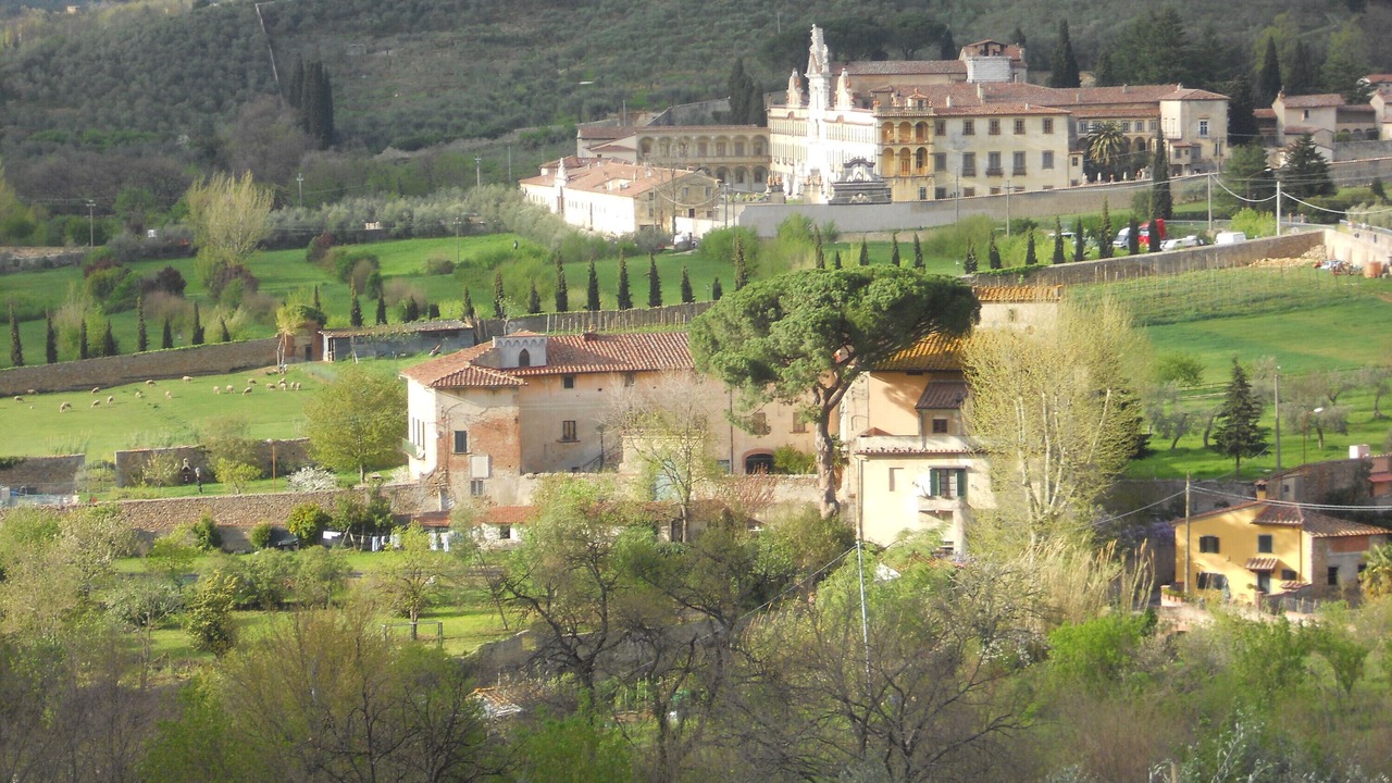 Photo of Others in Calci