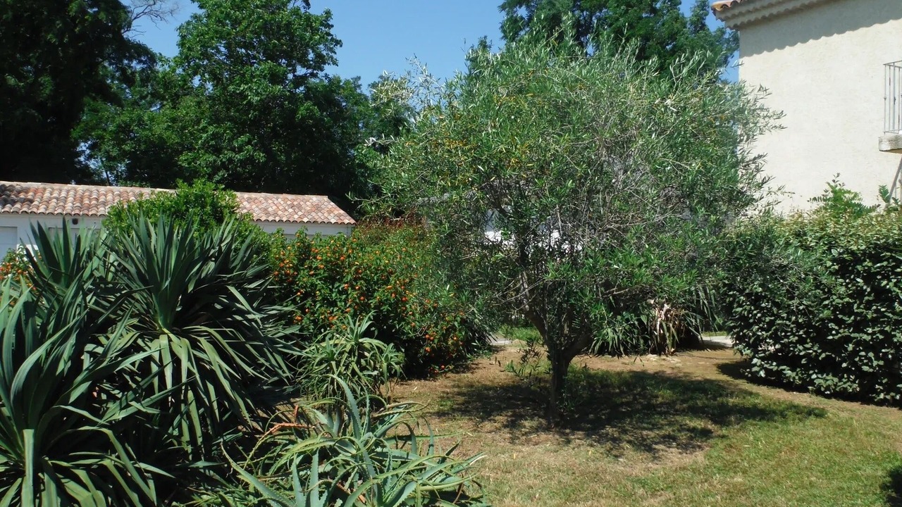 Photo of Outdoor in Talasani