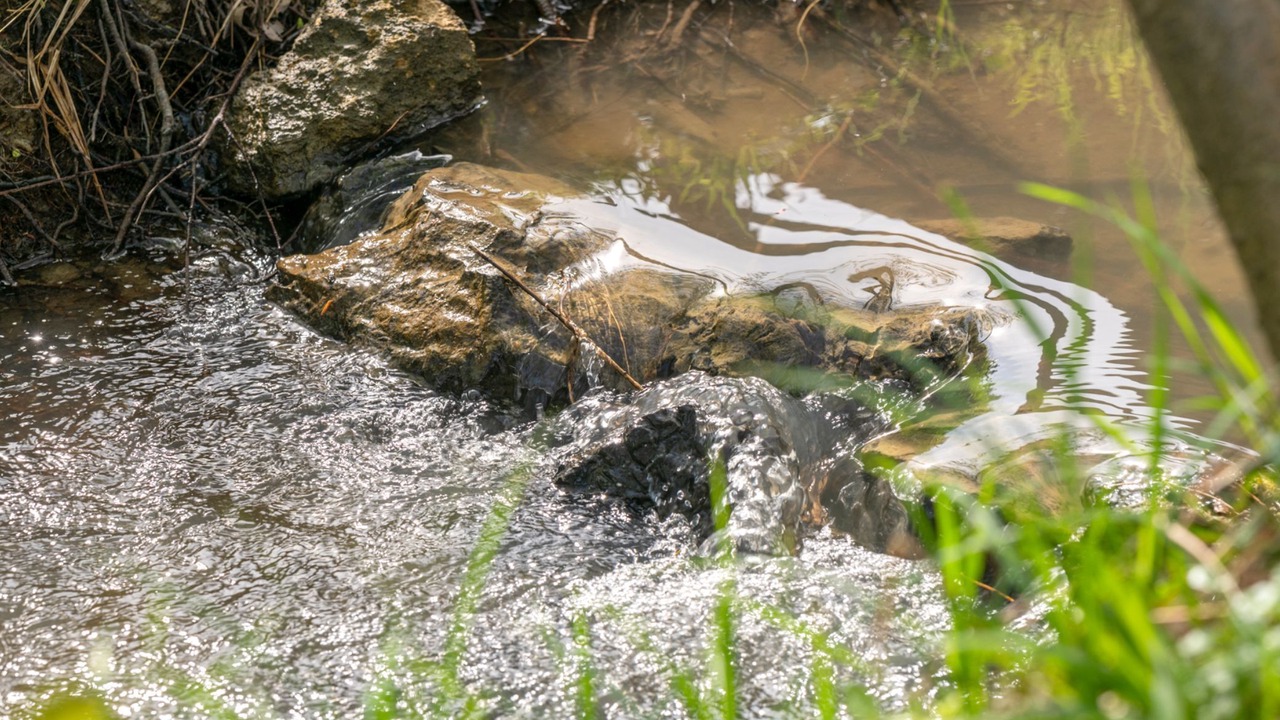 Photo of Outdoor in Gornji Kneginec