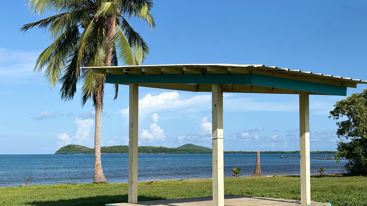 Photo of Outdoor in Ceiba