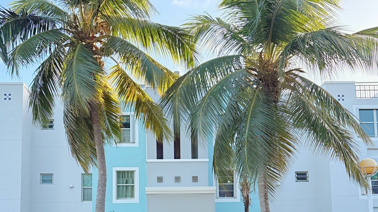 Photo of Outdoor in Ceiba