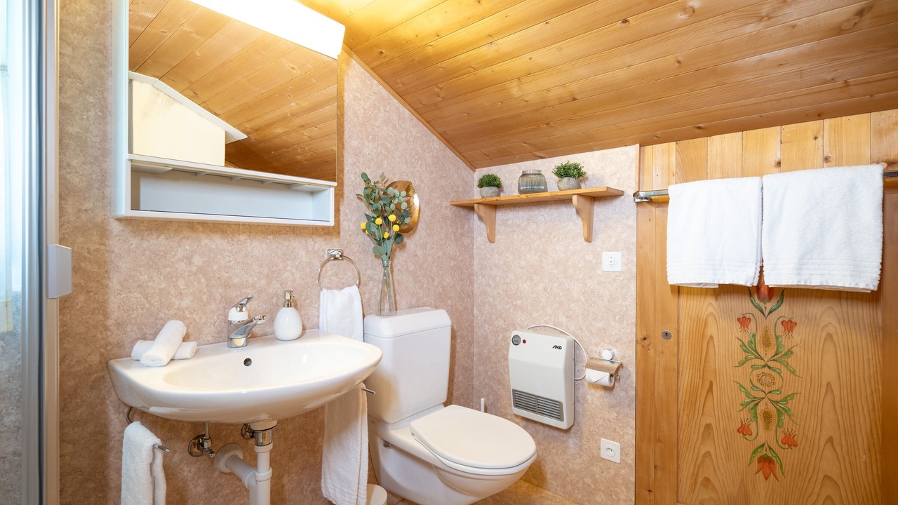 Photo of Bathroom in Mitloedi