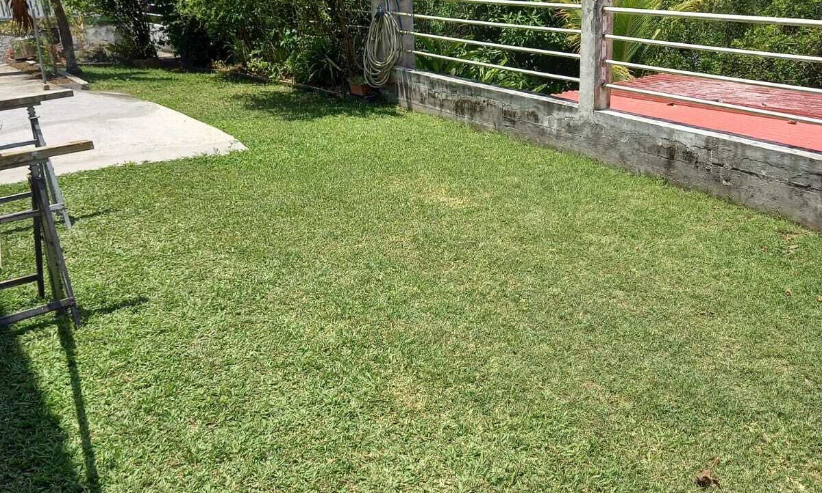 Photo of Outdoor in Perinet