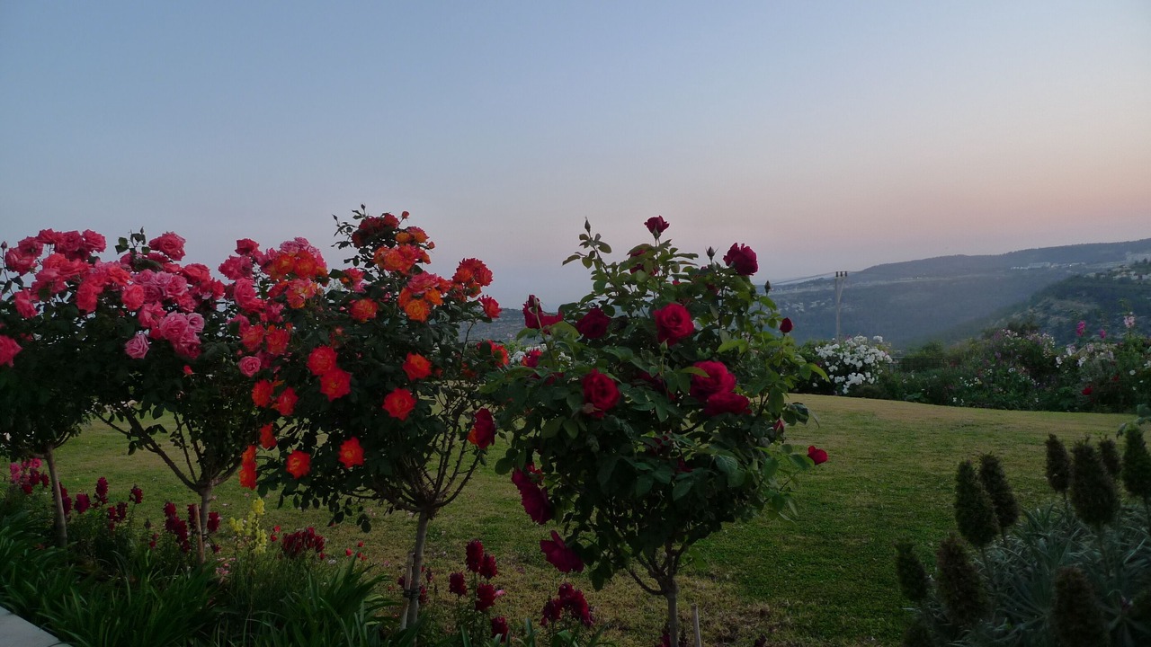 Photo of Outdoor in Mateh Yehuda