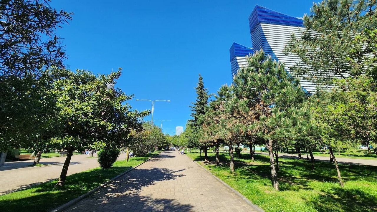 Photo of Others in New Boulevard