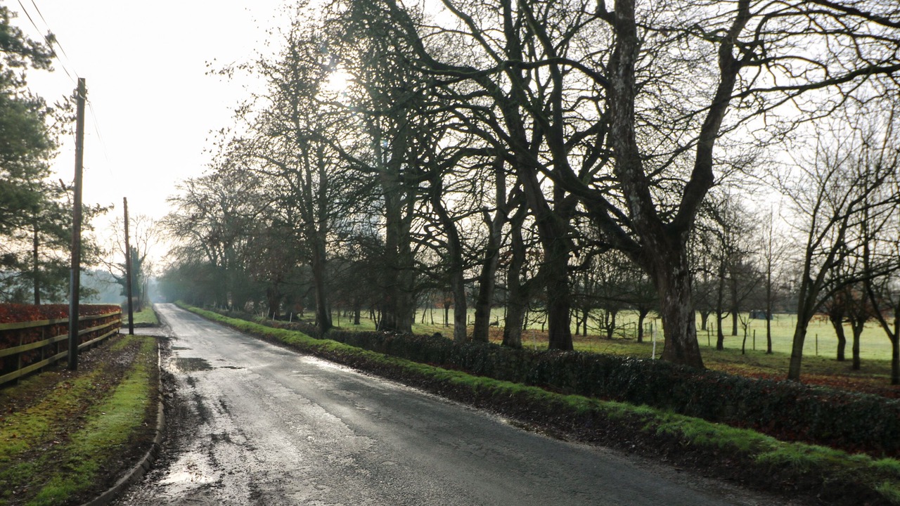 Photo of Outdoor in Moone