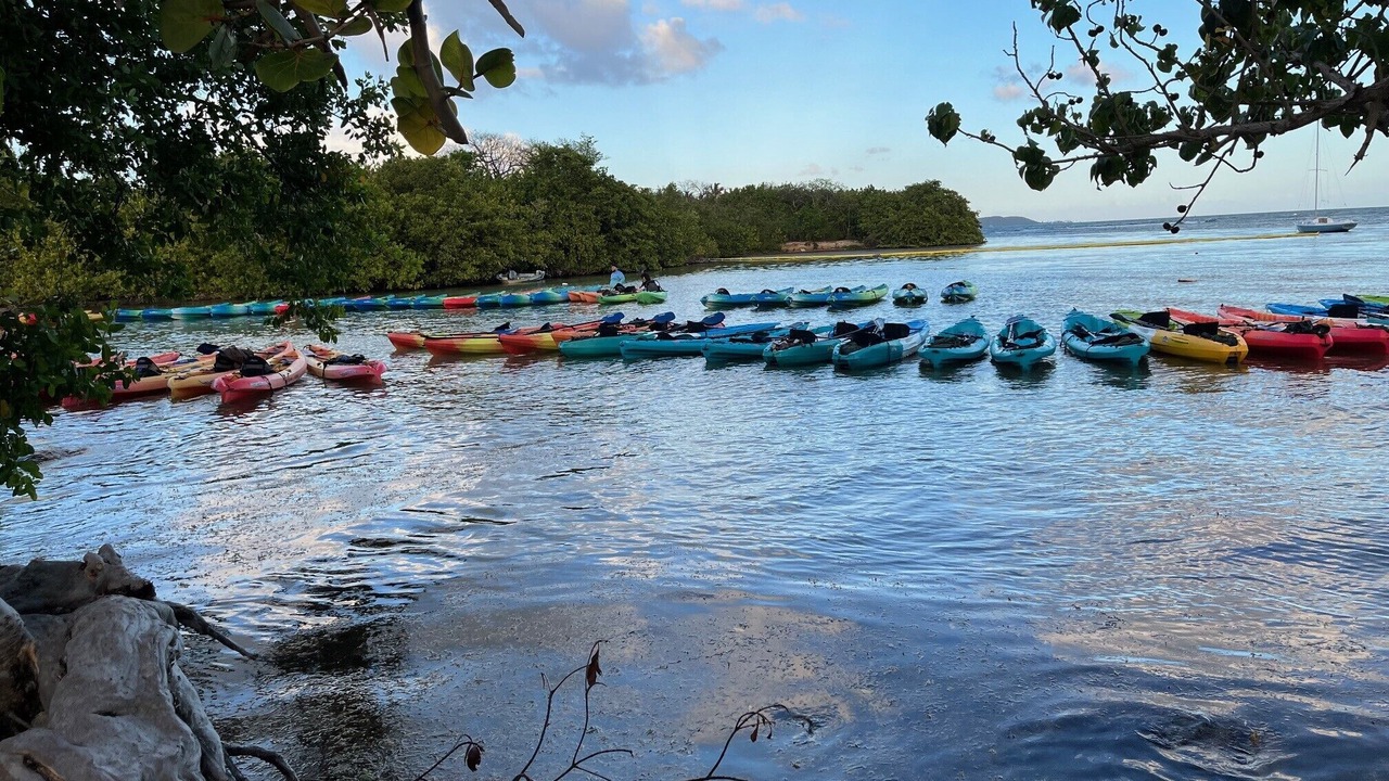 Photo of Others in Fajardo