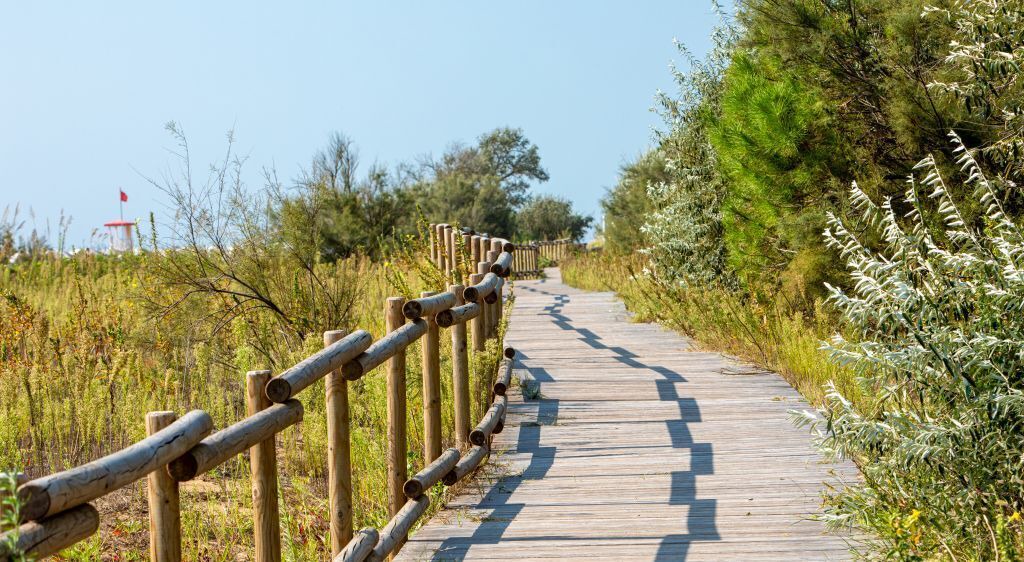 Photo of Outdoor in Jesolo Pineta