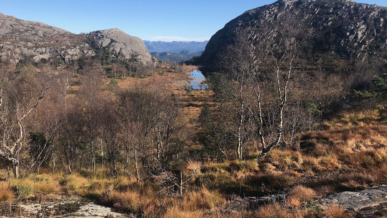 Photo of Outdoor in Hommersak