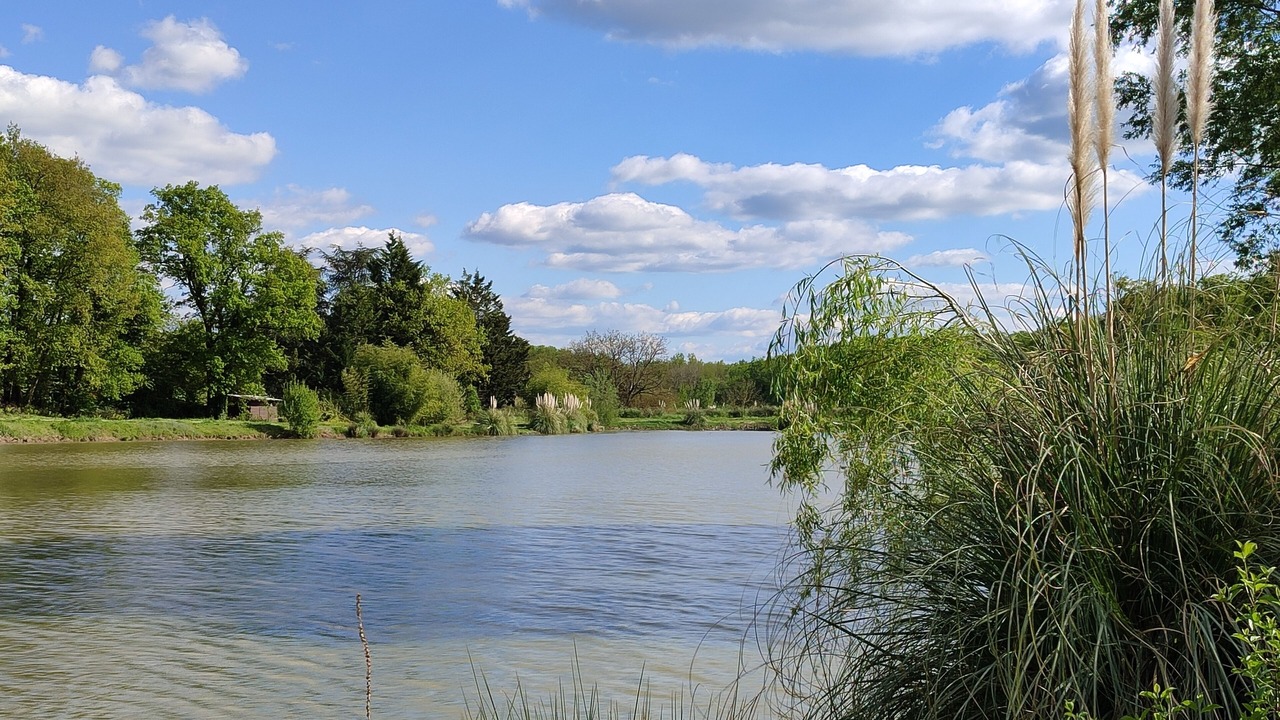 Photo of Outdoor in Onzain