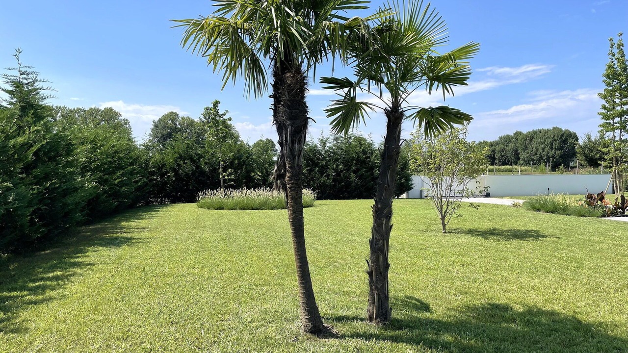 Photo of Outdoor in Trambacche di Veggiano