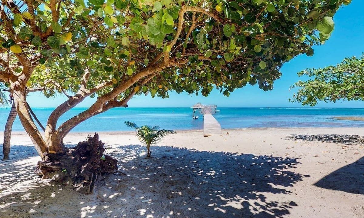 Photo of Others in Antoneys Cay