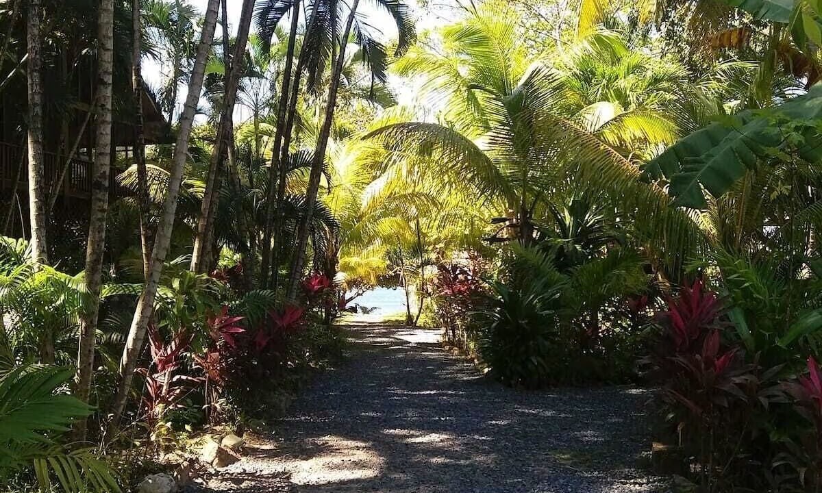 Photo of Others in Antoneys Cay