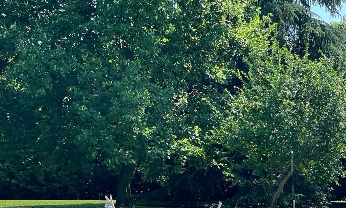 Photo of Outdoor in Padova