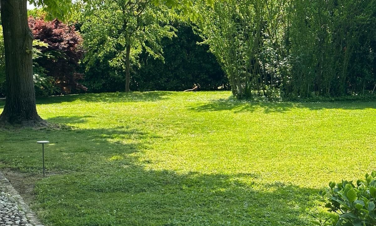 Photo of Outdoor in Padova