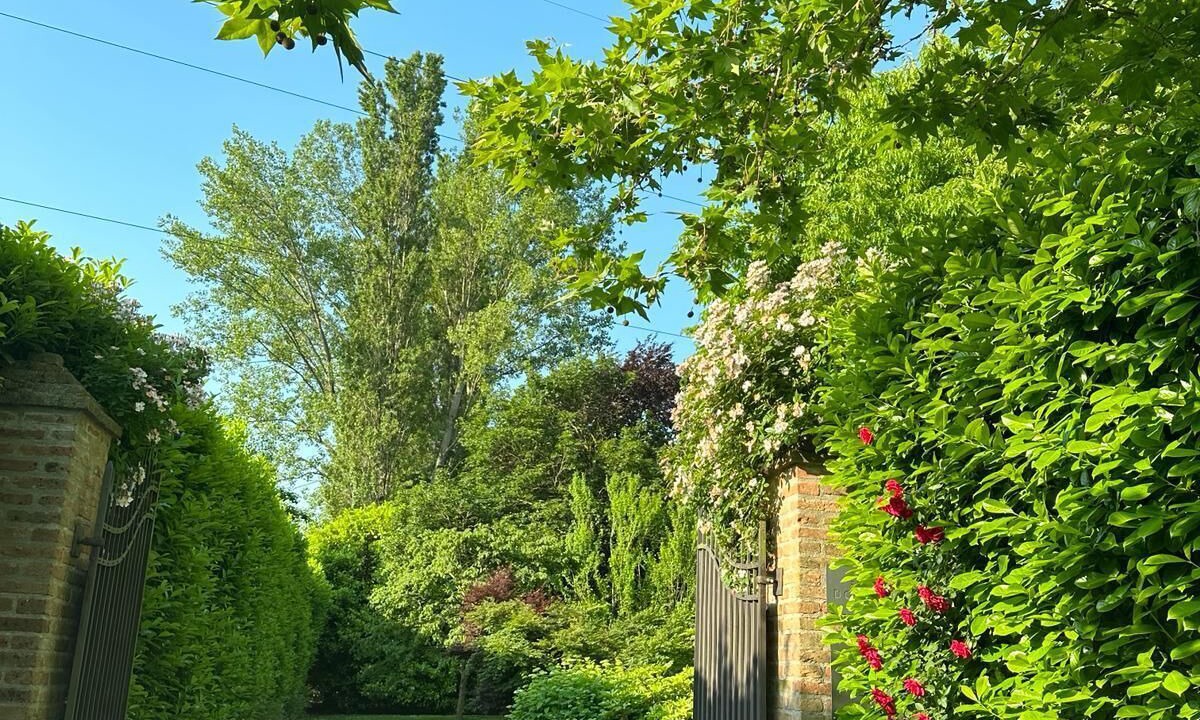 Photo of Outdoor in Padova