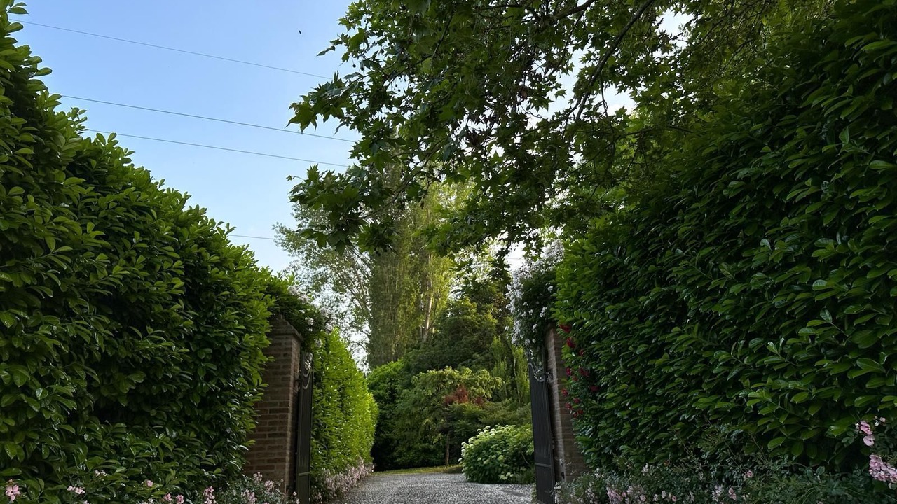 Photo of Outdoor in Padova